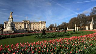 Flowers planted outside Buckingham Palace