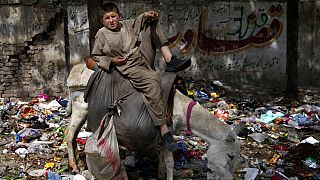 Ένα αγόρι κάθεται πάνω στο γαϊδουράκι του στην Καμπούλ