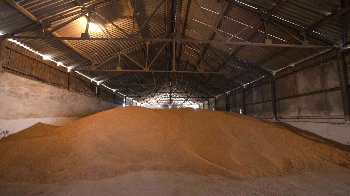 Wheat warehouse in Western Ukraine.