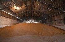 Un almacén de trigo en el pueblo de Luky, en el oeste de Ucrania, el 25 de marzo de 2022