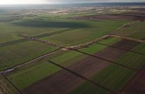 Landwirtschaftliche Flächen in der Ukraine