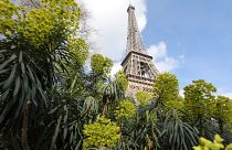 برج إبفل-باريس، فرنسا