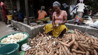 Bénin : des femmes produisent du biogaz à base d'épluchures de manioc