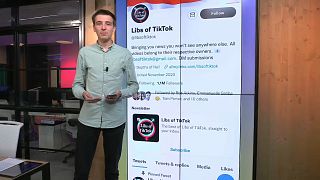 The Twitter account 'Libs of TikTok' has gathered more than 1 million followers