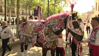Лошадь в богато украшенной попоне на празднике "Винных лошадей" в регионе Мурсия