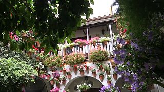 Un patio de la ciudad andaluza de Córdoba (España).
