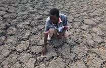 الجفاف في القرن الأفريقي يهدد 20 مليون شخص