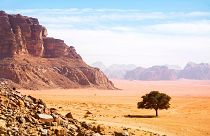 Over 90 per cent of Jordan's land is arid or semi-arid