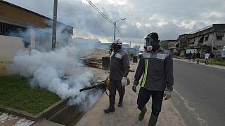 Dengue fever outbreak: One dead, 11 cases recorded in Ivory Coast