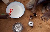 BM Gıda ve tarım Örgütü FAO 2021'de açlıkla karşı karşıya kalanların sayısının 193 milyona ulaştığını açıkladı
