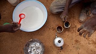 BM Gıda ve tarım Örgütü FAO 2021'de açlıkla karşı karşıya kalanların sayısının 193 milyona ulaştığını açıkladı