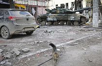 Un tanque en la zona controlada por los separatistas prorrusos en Mariúpol (Ucrania).