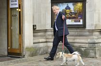 İngiltere Başbakan Boris Johnson, yerel seçimlerde oyunu kullanmak için köpeği Dilyn ile Londra'nın merkezindeki Metodist Salonu'na geldi.