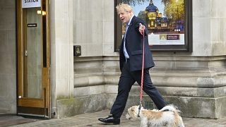 İngiltere Başbakan Boris Johnson, yerel seçimlerde oyunu kullanmak için köpeği Dilyn ile Londra'nın merkezindeki Metodist Salonu'na geldi.