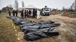 Tömegsírból kihantolt emberek nejlonzsákba helyezett holttestei az ukrajnai Bucsában
