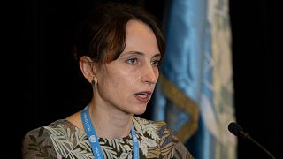 النا دوهان، گزارشگر ویژه سازمان ملل