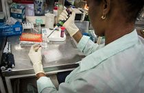 باحثة تعمل في مركز للهندسة الوراثية في كوبا  في إطار إعداد لقاح لسرطان البروستاتا. 2015/06/19