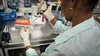 باحثة تعمل في مركز للهندسة الوراثية في كوبا  في إطار إعداد لقاح لسرطان البروستاتا. 2015/06/19