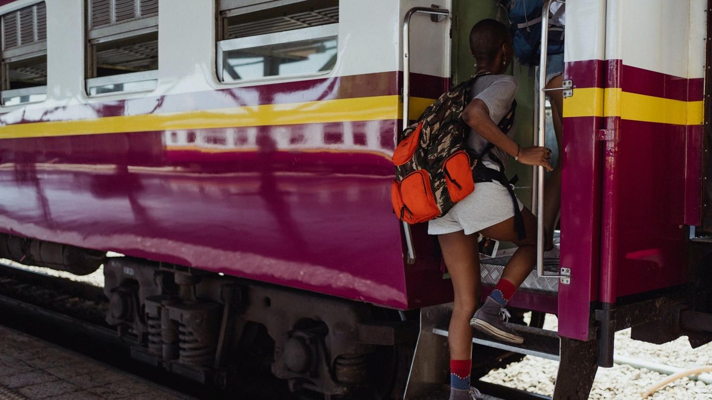 can you take dogs on trains in europe