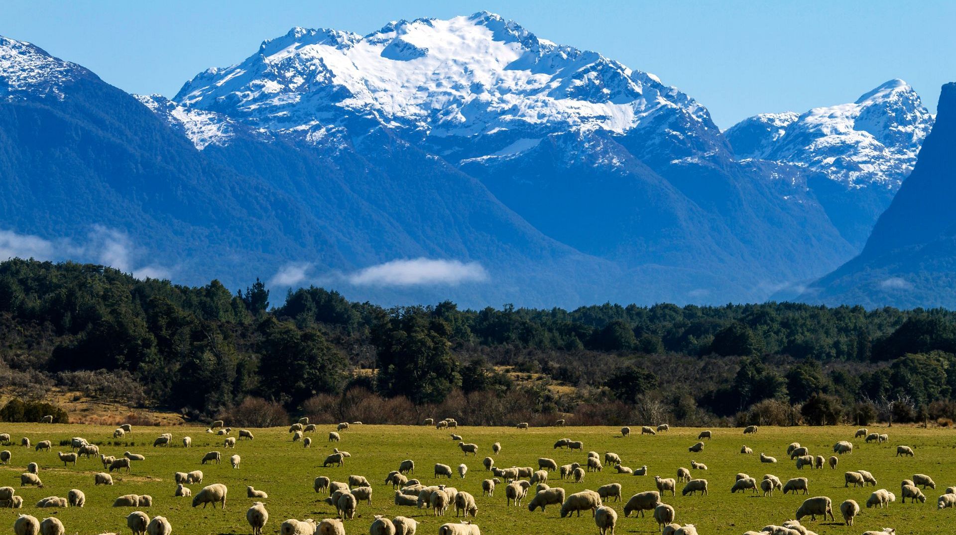 New Zealand Tourists urged to 'tread lightly' as island country fully