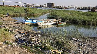 Ψαρόβαρκες έχουν κολλήσιε στην όχθη Shatt al-Arab στη Βασόρα του Ιράκ, εικόνα αρχείου