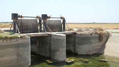Água estagnada numa estação de rega, em terras agrícolas na província de Diwaniya, no Iraque