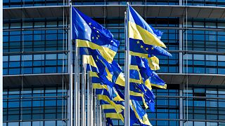 اهتزاز پرچم‌های اتحادیه اروپا و اوکراین مقابل پارلمان اروپا
