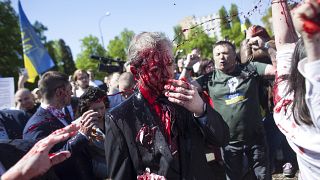 One protester threw a large amount of paint in Sergey Andreev's face.