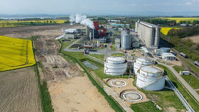 Biofuel could help Europe reduce its dependency on Russian gas.