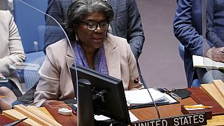 ABD'nin Birleşmiş Milletler Büyükelçisi Linda Thomas-Greenfield