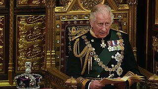 Der britische Kronprinz Charles während der Rede