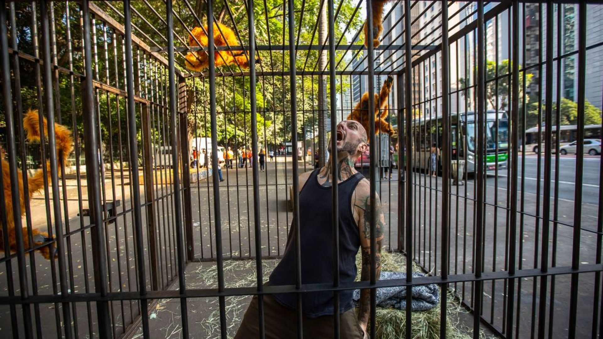 These art installations reveal the sad truth about keeping animals in cages Euronews