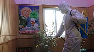عامل يعقم المكاتب في إحدى المؤسسات في العاصمة الكورية الشمالية بيونغ يانغ بعد إعلان تفشي فيروس كورونا في البلاد 12 مايو 2022
