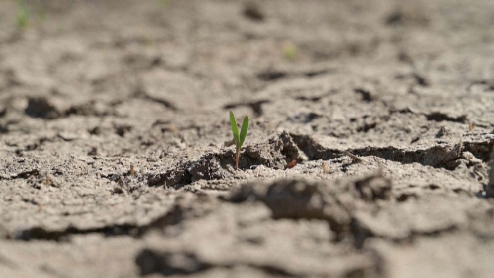 Sécheresse en France : les agriculteurs vont-ils manquer d’eau en août ?