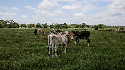 Süt ürünleri son altı ayda yüzde 50'nin üzerinde zamlandı