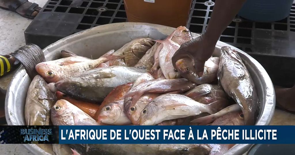 L'Afrique de l'Ouest face à la pêche illicite [Business Africa]