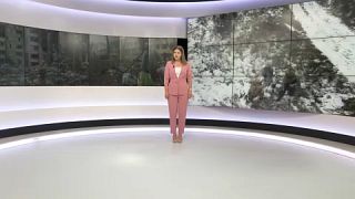 Саша Вакулина / Euronews