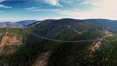 This is the world's longest suspended pedestrian bridge This is the world's longest suspended pedestrian bridge