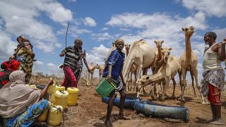 COP15: how to resist more severe and frequent drought conditions?