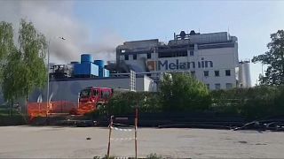 Smoke could be seen rising from Melamin chemical plant in Kocevje.