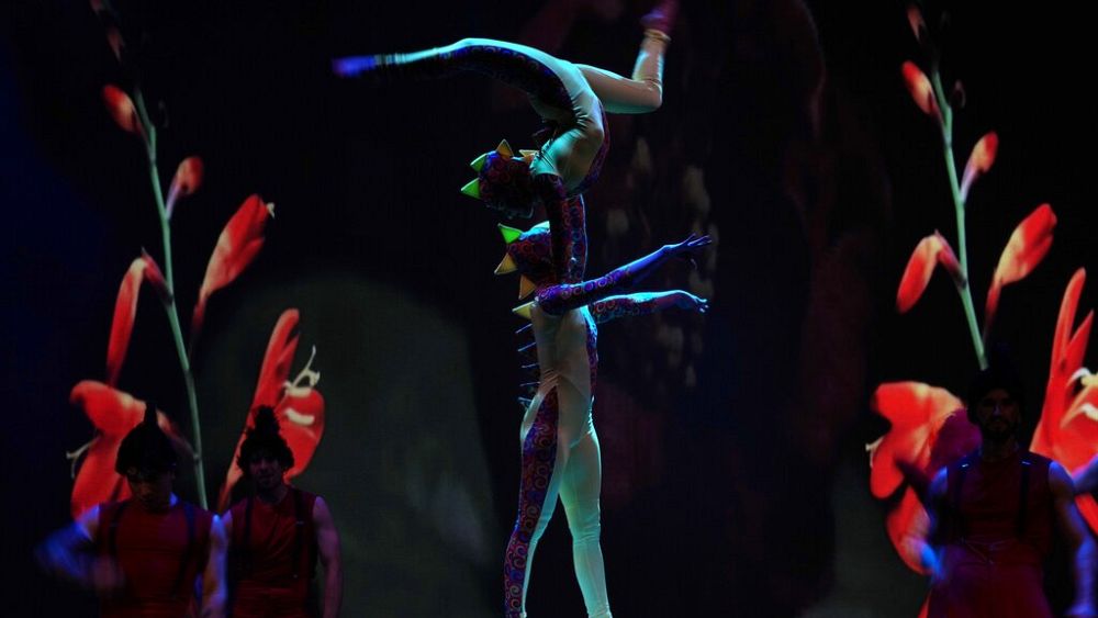 the-show-must-go-on-for-ukrainian-circus-trapped-in-italy