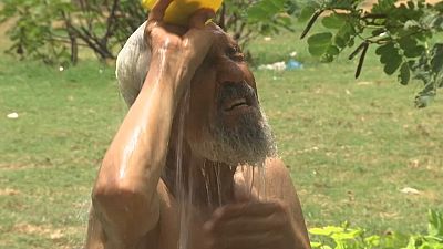 Los ecologistas recuerdan que el impacto del calor aumenta por la falta de espacios verdes y árboles en Karachi