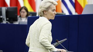 Ursula von der Leyen personally unveiled the proposal for a EU-wide on Russian oil imports but the final agreement is yet to be reached.