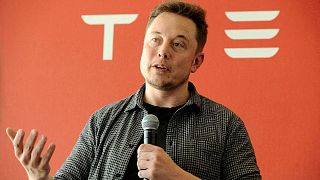 Tesla CEO Elon Musk is putting his bid to buy Twitter on hold.