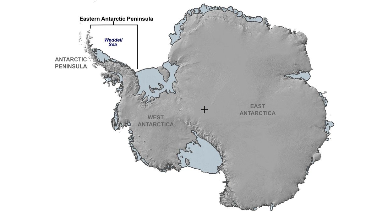 What’s behind the surprising growth of one Antarctic ice sheet? Euronews