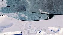 Sea ice off the eastern Antarctic Peninsula captured by the USGS/NASA Landsat 8 satellite