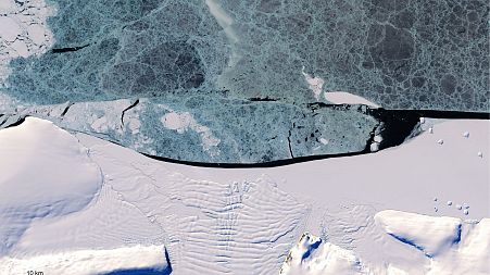 Banquise au large de la péninsule antarctique orientale photographiée par le satellite Lansat 8 de l'USGS/NASA