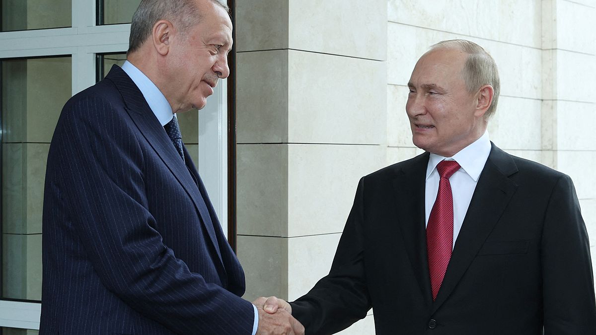 صورة أرشيفية للقاء يجمع بين الرئيس الروسي فلاديمير بوتين والرئيس التركي رجب طيب أردوغان 