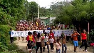 Colombia: Bari indigenous people protest against violence