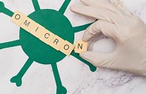 The Omicron variant remains the dominant coronavirus variant circulating globally, but a string of Omicron subvariants has emerged, including BA.1, BA.2, BA.3, BA.4 and BA.5.